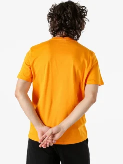 Pyrex T-shirt da uomo in cotone con logo - arancione