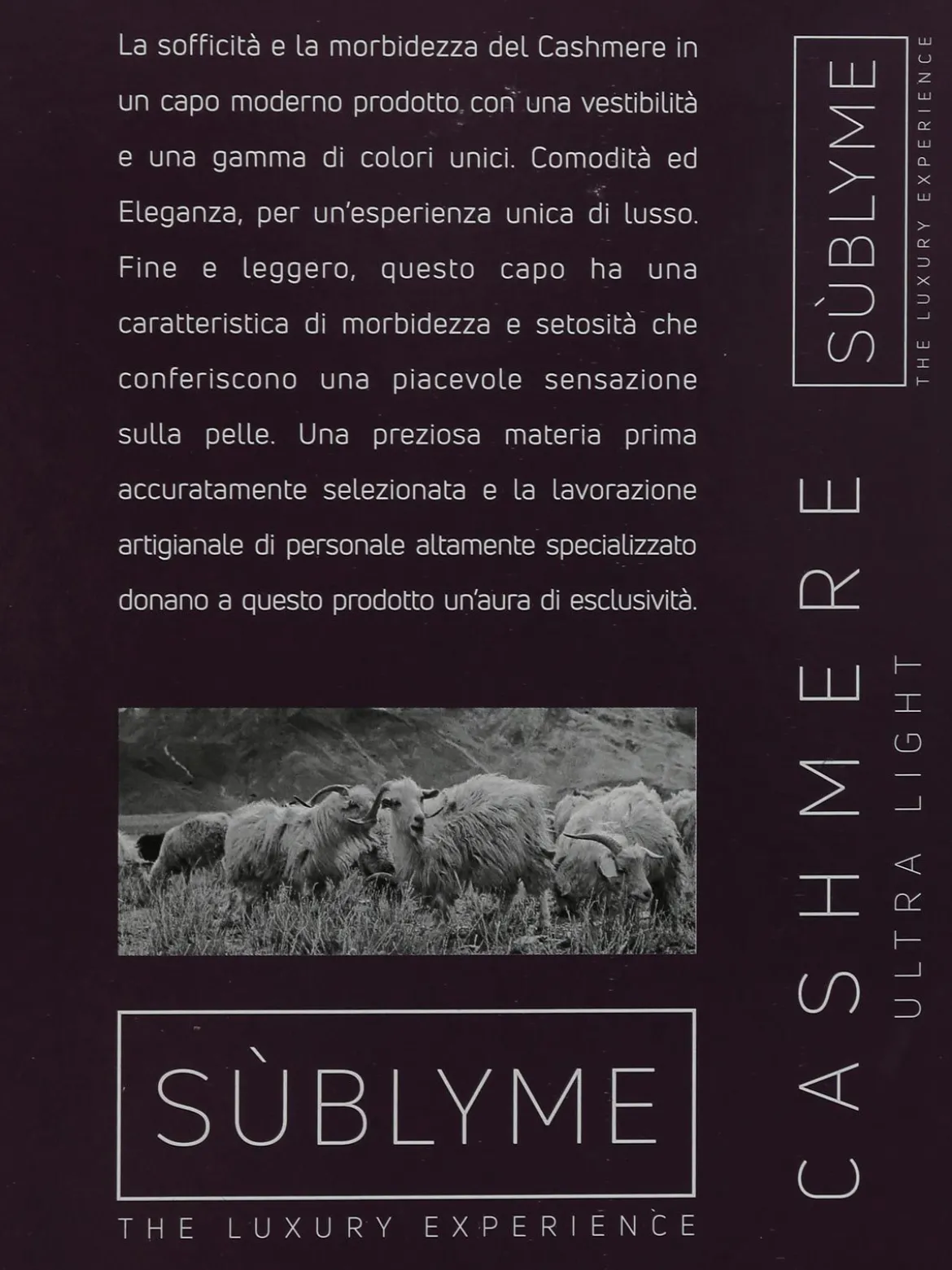 Sublyme Maglietta donna cashmere con pizzo